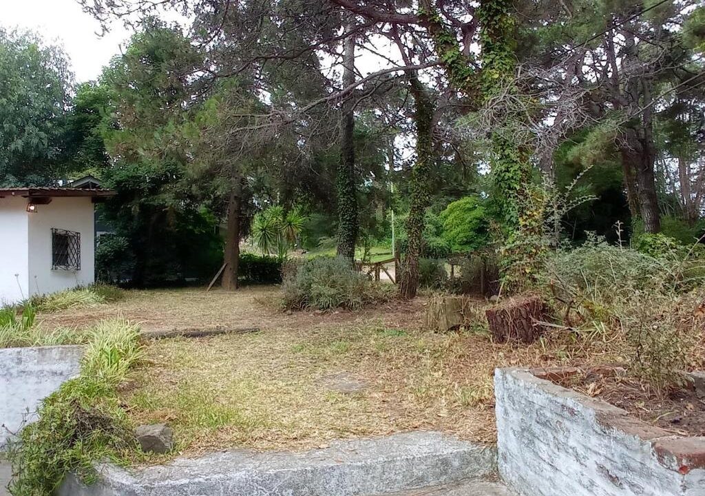 Imagen de WhatsApp 2023-02-01 a las 19.28.075