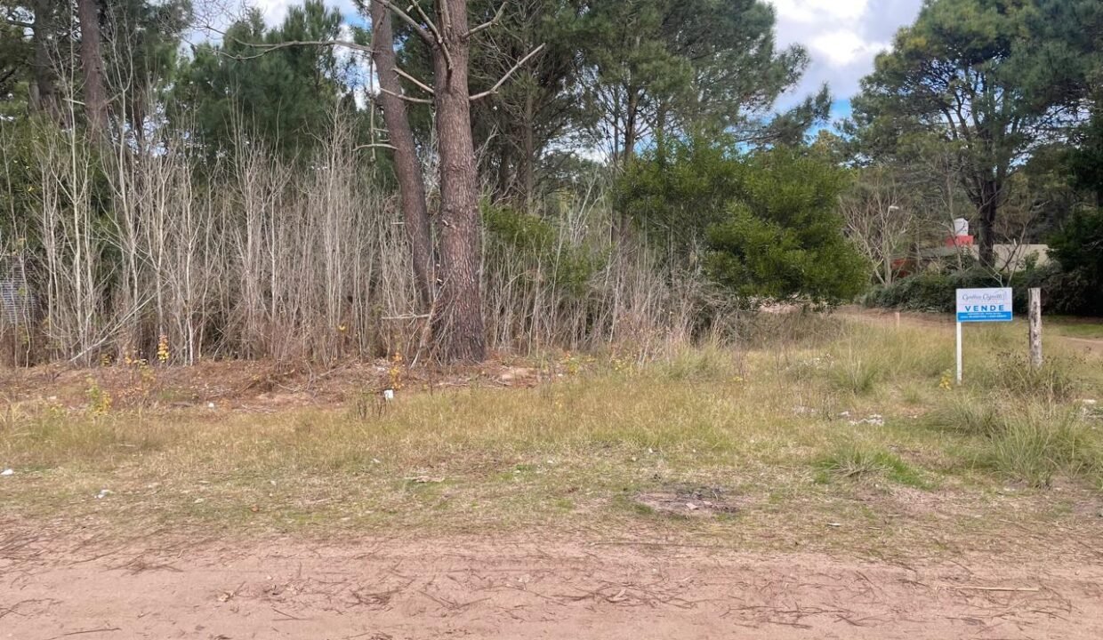 lote loria