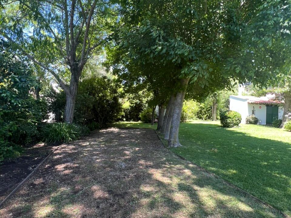 WhatsApp Image 2025-12-18 at 12.54.50 PM