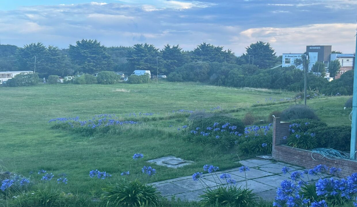 WhatsApp Image 2025-12-26 at 8.25.34 PM