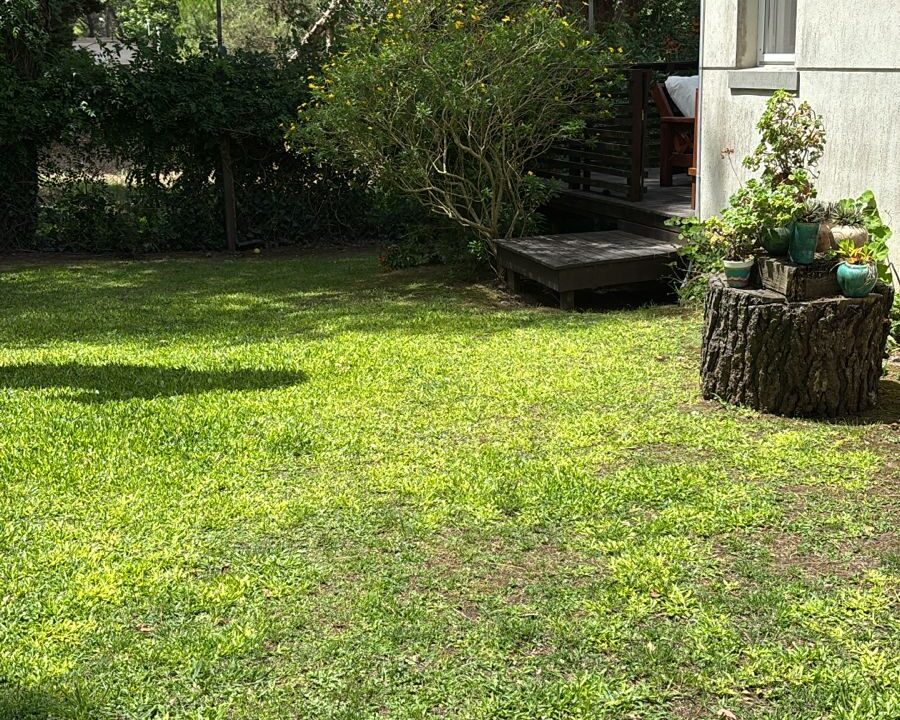 WhatsApp Image 2026-01-08 at 7.48.36 PM (1)