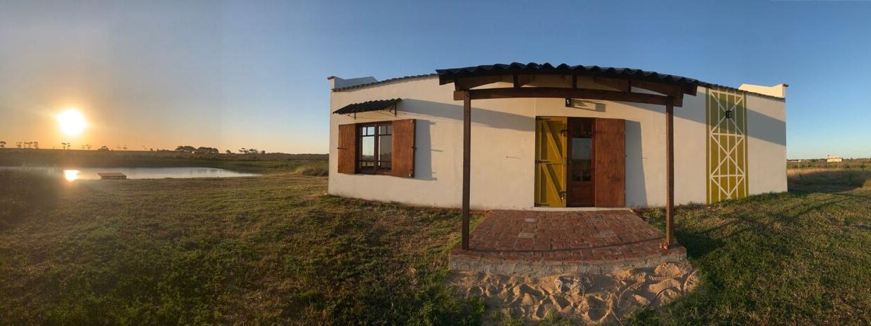 WhatsApp Image 2026-02-10 at 5.55.31 PM