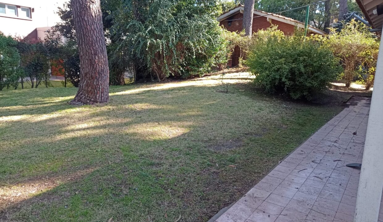 WhatsApp Image 2026-02-17 at 5.22.50 PM (1)