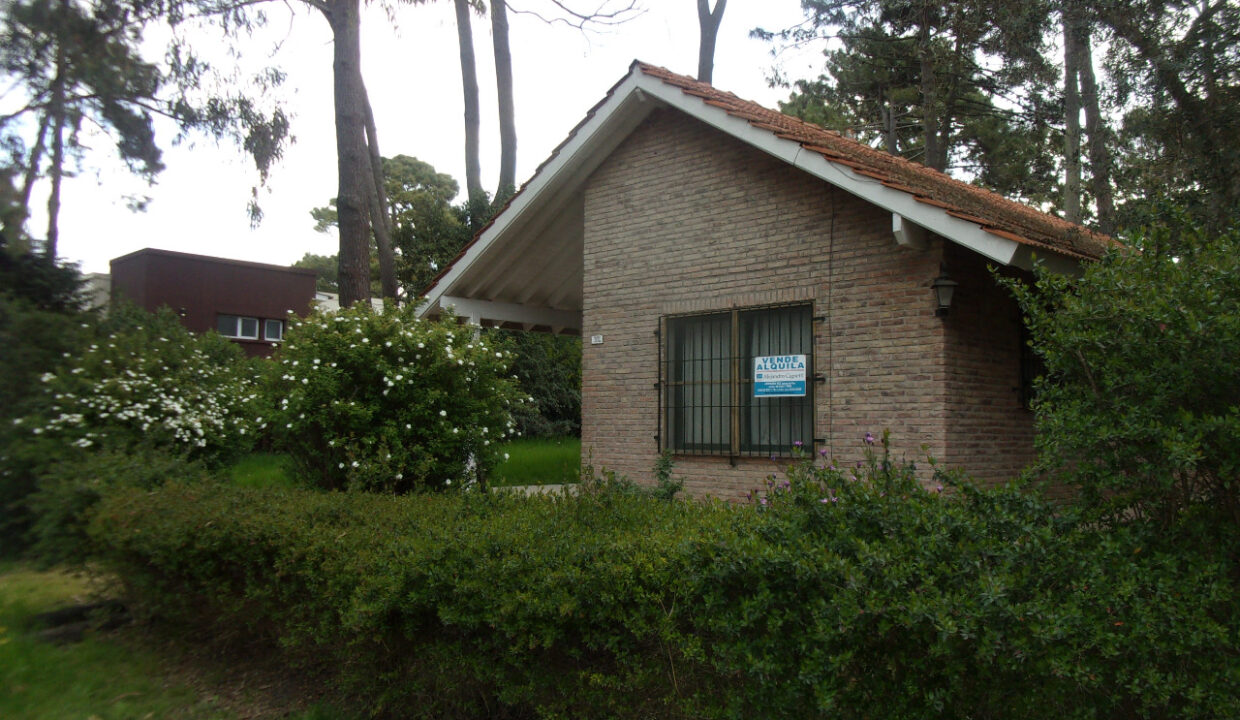 WhatsApp Image 2026-02-17 at 5.22.52 PM