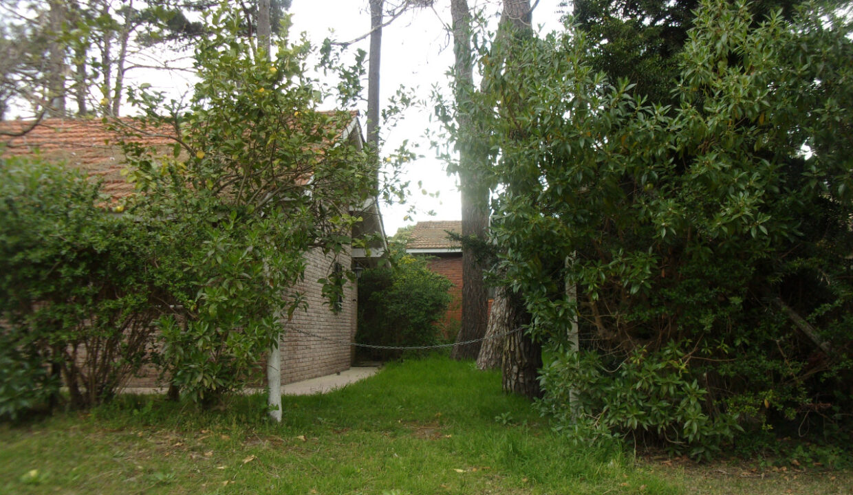 WhatsApp Image 2026-02-17 at 5.22.53 PM (1)