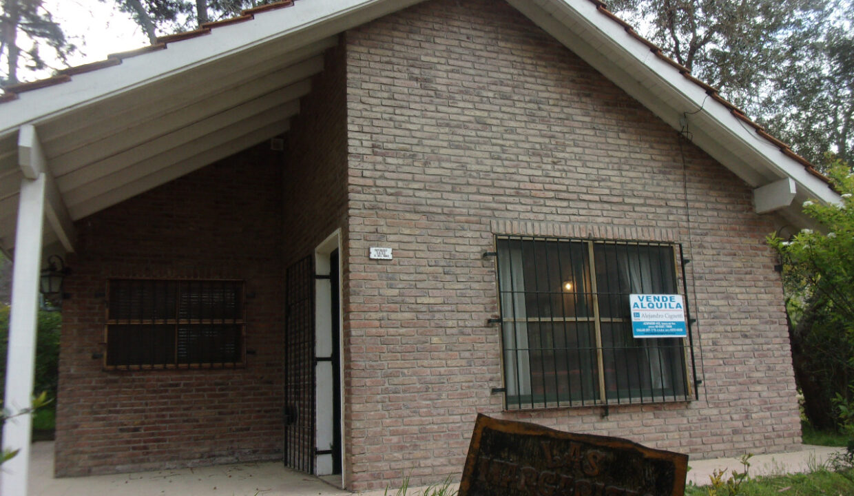 WhatsApp Image 2026-02-17 at 5.22.55 PM