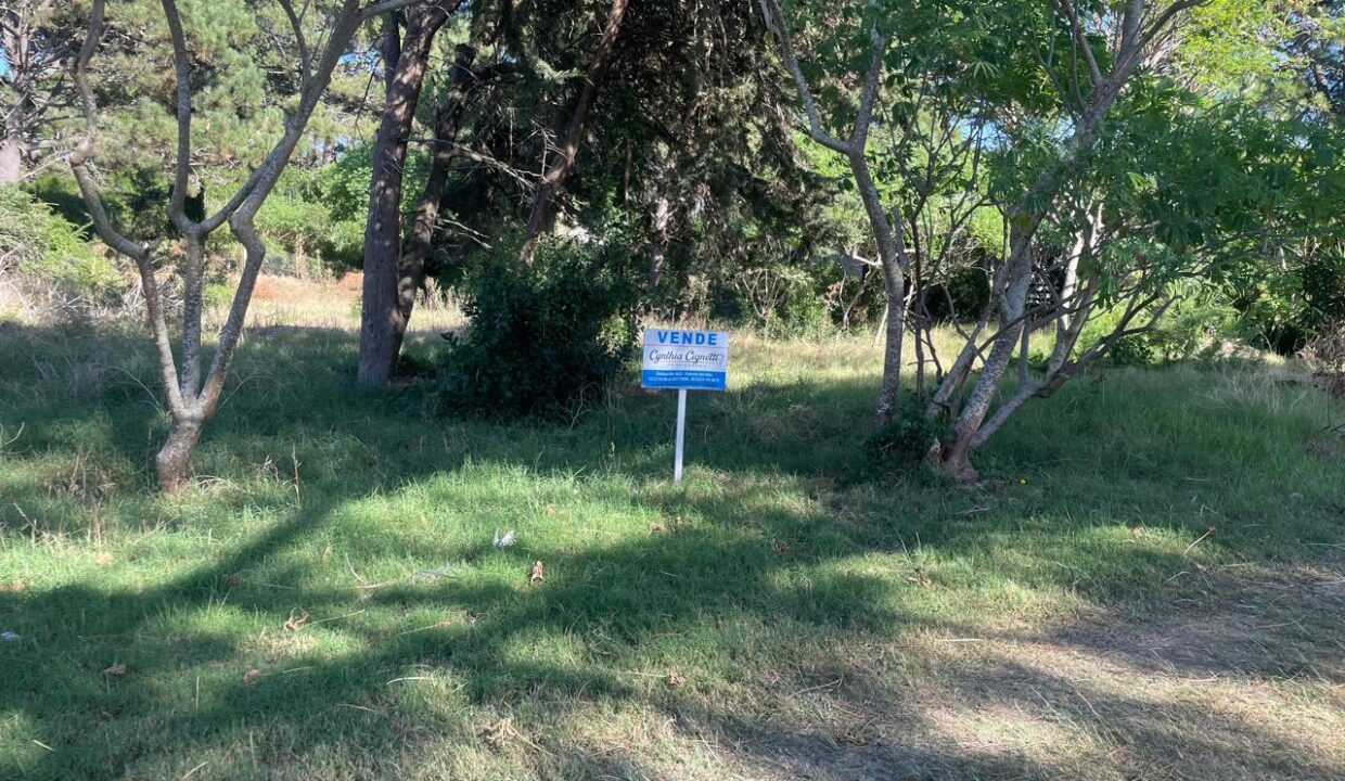 WhatsApp Image 2026-02-19 at 7.57.32 PM (3)