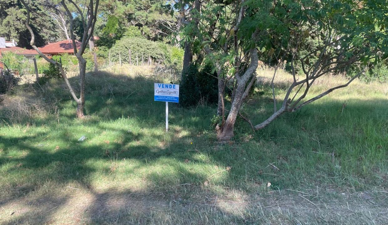 WhatsApp Image 2026-02-19 at 7.57.32 PM (4)