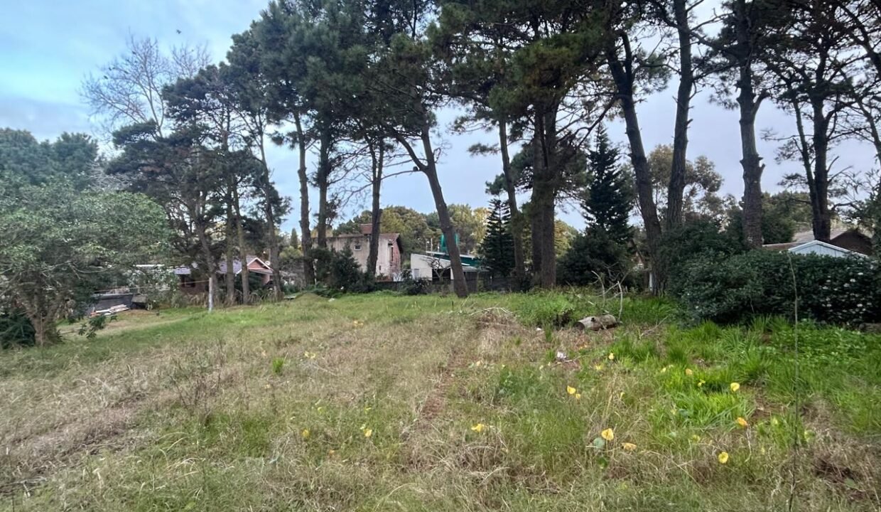 lote 3